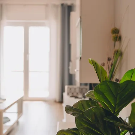 Neda Apartment